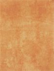 Lasselsberger Wandfliese 25x33cm PATINA WATKB231 terracotta matt