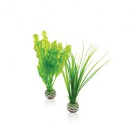 OASE biOrb Pflanzen Set grün - Größe S
