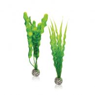 OASE biOrb Pflanzen Set grün - Größe M