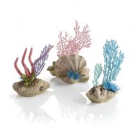 OASE biOrb Korallenfächer Muschel Set